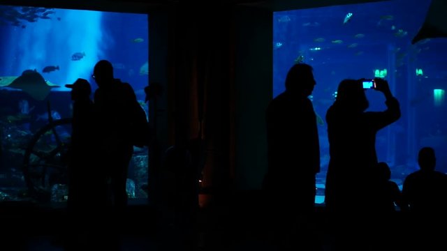 People watching big aquarium in Dubai