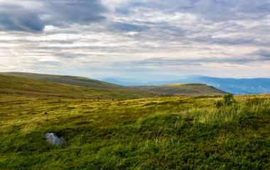 Fototapeta premium grassy hill in late summer. beautiful mountainous landscape on a cloudy day