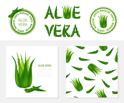 Template with Aloe Vera,labels ,seamless pattern.
