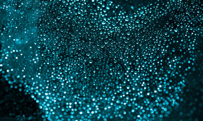 Water drops and bokeh