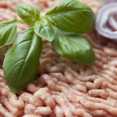 branche de basilic sur viande hachée fraiche 