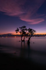 Fototapeta na wymiar Beautiful Sunset & twin manggrove