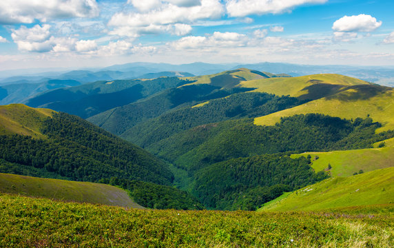 rolling hill of Carpathian mountains. beautiful summer landscape