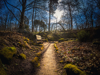 Beautiful nature and park scene in spring