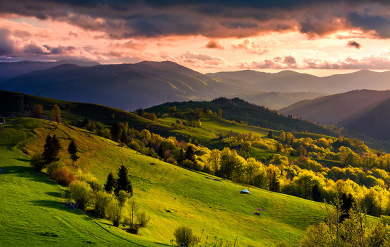 gorgeous sunset over Carpathian mountains. beautiful countryside with forested rolling hills and grassy rural fields. spectacular reddish cloudy sky