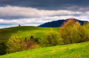 springtime in mountainous countryside. lovely rural landscape with forested hills and agricultural fields on a cloudy day