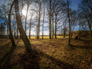 Beautiful nature and park scene in spring