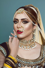 Portrait of beautiful indian girl