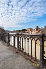 ponte palatino