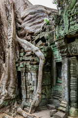Angkor temple, Cambodia