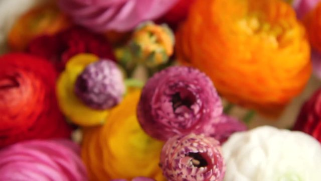 Colorful flower bunch, top zoom out shot.
