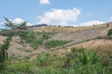 Mountain landscape in summer season with blue sky and cloud