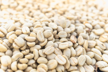 Dried coffee beans