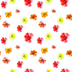 Fototapeta premium Seamless floral background, Wildflowers.Floral background of wildflowers. Nature