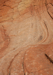 Yellow and red sandstone patterns in Yant Flat in Southern Utah