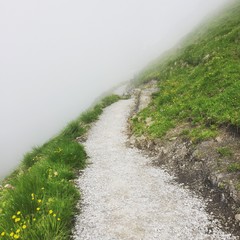 Foggy path