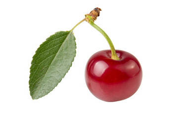 Cherry berry with fresh green leaf isolated on white background