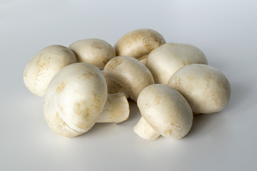 White champignons isolated. Fresh beautiful mushrooms.