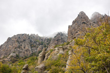Demerdzhi Mountain in the Crimea. Natural monument 