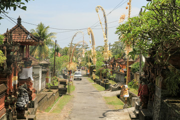 Bali 908