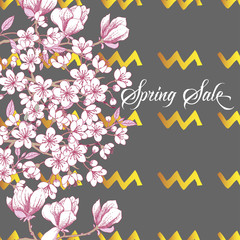 Spring Sakura and Magnolia Background