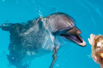 Fotobehang Dolfijn Gelukkige kinderhand raakt een dolfijn aan