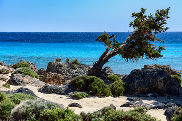 Fototapeta na wymiar Kedrodasos Beach, Crete, Greece