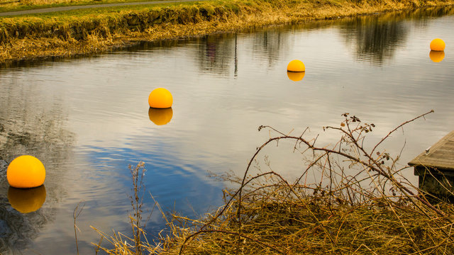 Bright yellow buoys with reflections on the surface of a canal.
