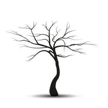 Vector illustration silhouette tree without leaves a white background