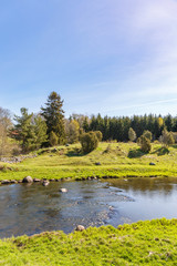 Obraz premium River flowing through the landscape with a forest
