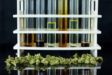 Medical Cannabis - oil test tubes with rack,  marijuana and antique apothecary brown jar on the black mirror background.