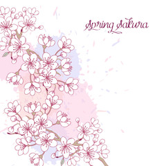 Fototapeta na wymiar Spring Background with Sakura Blossom Trees