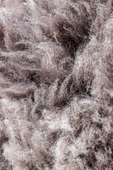 Dense thick grey sheepskin rug fur extreme macro