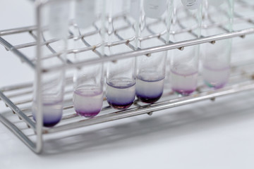 Analysis starch for study Chemical composition in laboratory.