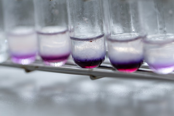 Analysis starch for study Chemical composition in laboratory.