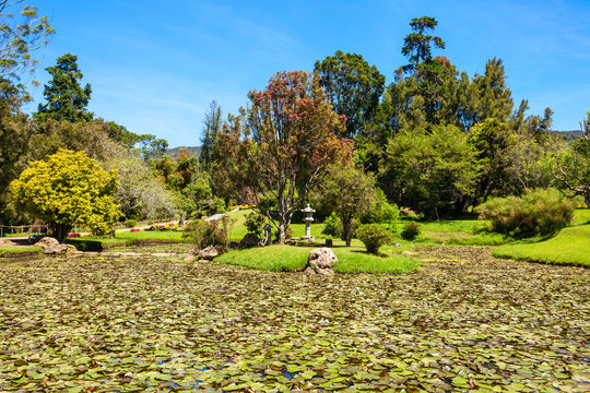 Victoria Park, Nuwara Eliya