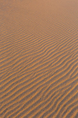 Golden wavy sand texture pattern structure, lit by morning sun