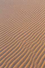 Golden wavy sand texture pattern structure, lit by morning sun