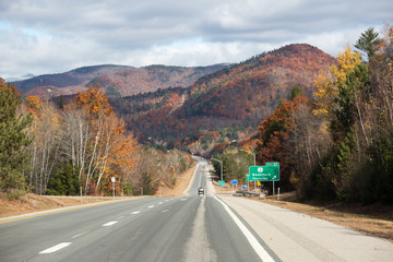 Road in autumn
