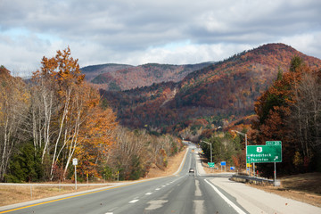 Road in autumn