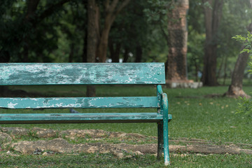 A chair in public park. feel lonely. feel single. feel placeful.