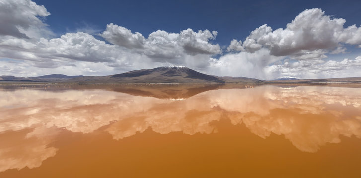 Colorada lagoon, Altiplano, Bolivia