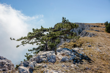 The south coast of Crimea. At the top of the Ai-Petri mountain, Crimea
