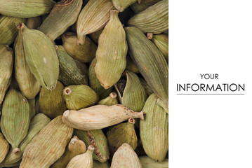 Cardamom spice seasoning seed macro