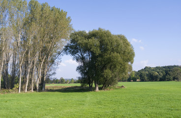 Schmoelln / Germany: Lowland along the little river Sprotte between Grossstoebnitz and Papiermuehle