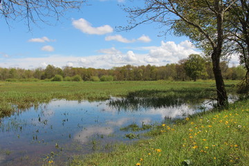 Paysage campagne étang au printemps avec temps ensoleillé et nuages blancs après la pluie mode paysage