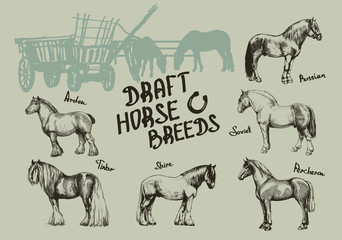 set farm horse, shire, tinker, russian, soviet, percheron, arden © Elena