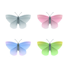 Vector Butterflies Set