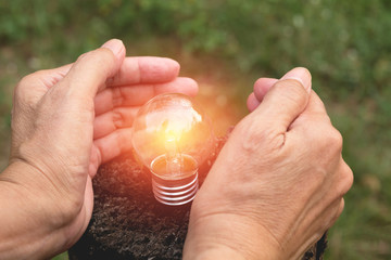 Hand of person holding light bulb for idea or success and solar energy concept.