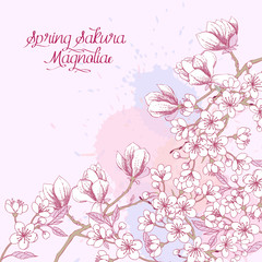 Fototapeta na wymiar Spring Background with Sakura Blossom Trees